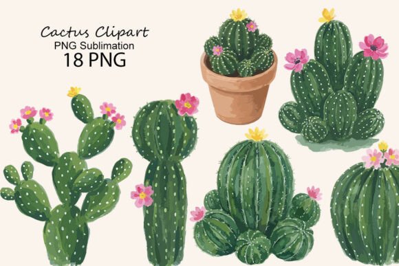 Download Cactus Clipart PNG Sublimation - Png sublimation Collection